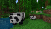 Minecraft ⭐️