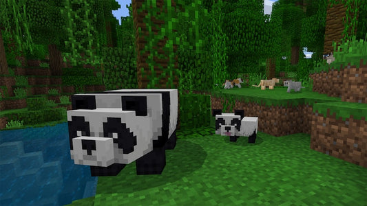 Minecraft ⭐️
